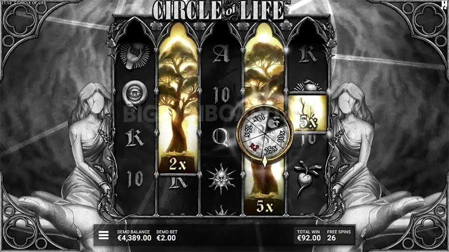 Beginner's Guide to Live Casino
